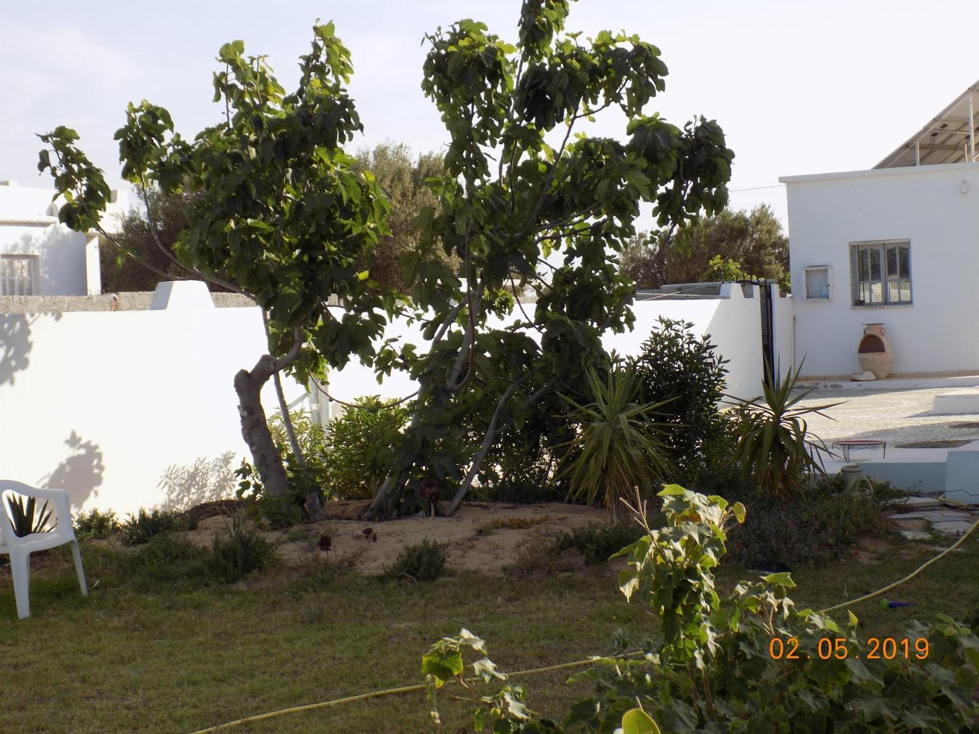 Dar Mamina Bed & Breakfast Sidi ash Shammakh Bagian luar foto