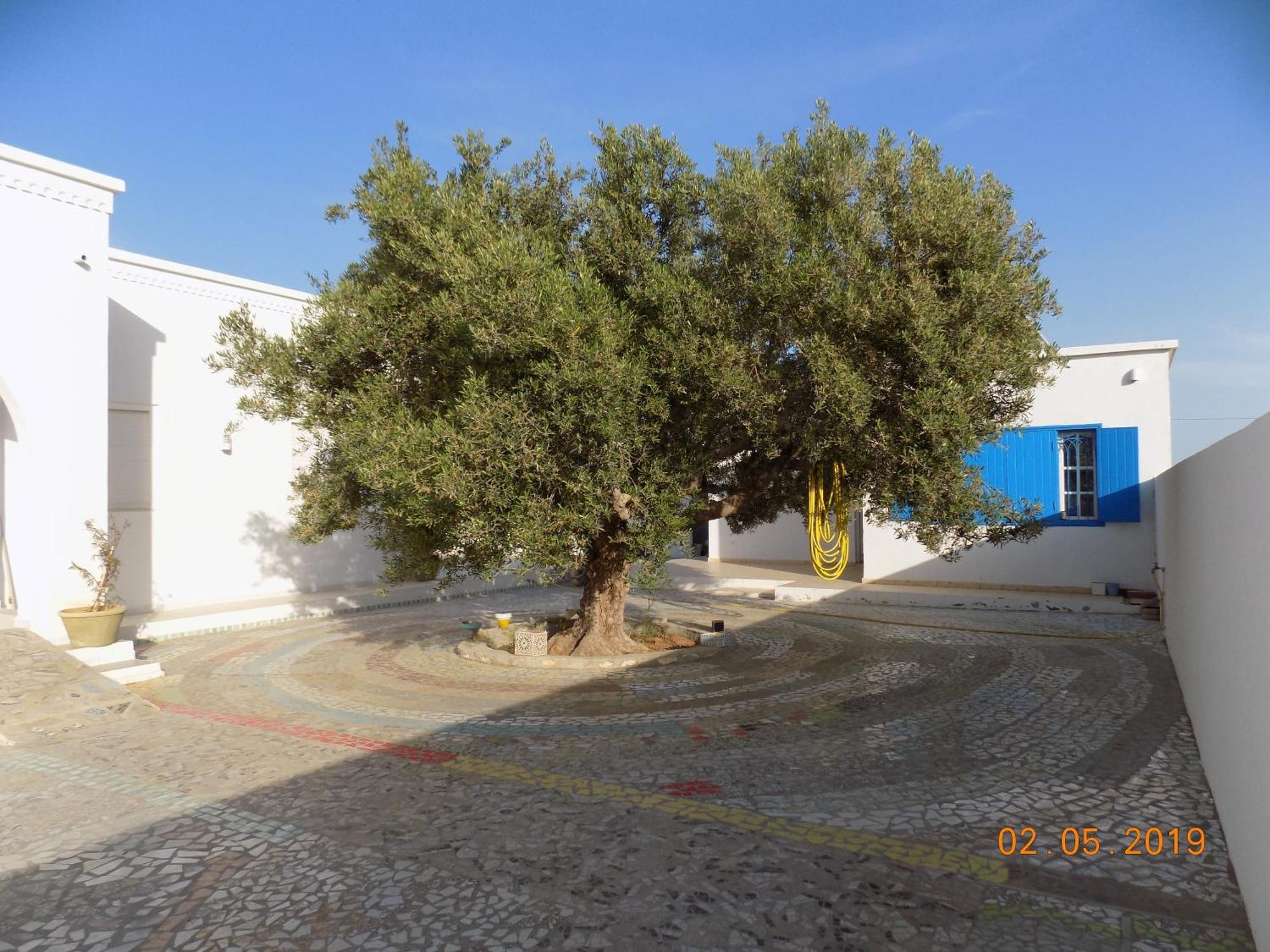 Dar Mamina Bed & Breakfast Sidi ash Shammakh Bagian luar foto
