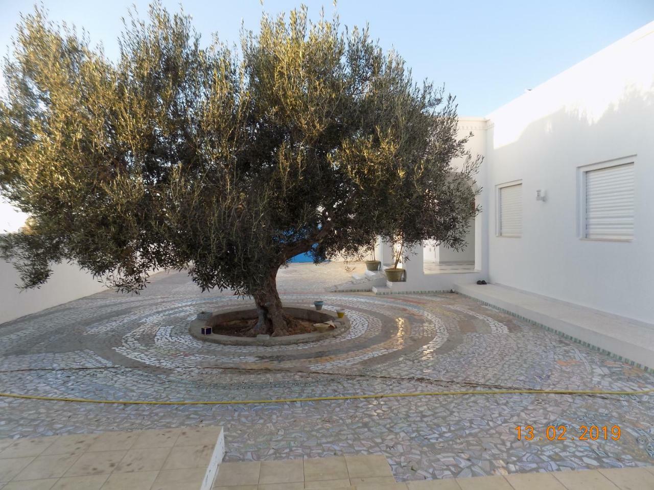 Dar Mamina Bed & Breakfast Sidi ash Shammakh Bagian luar foto