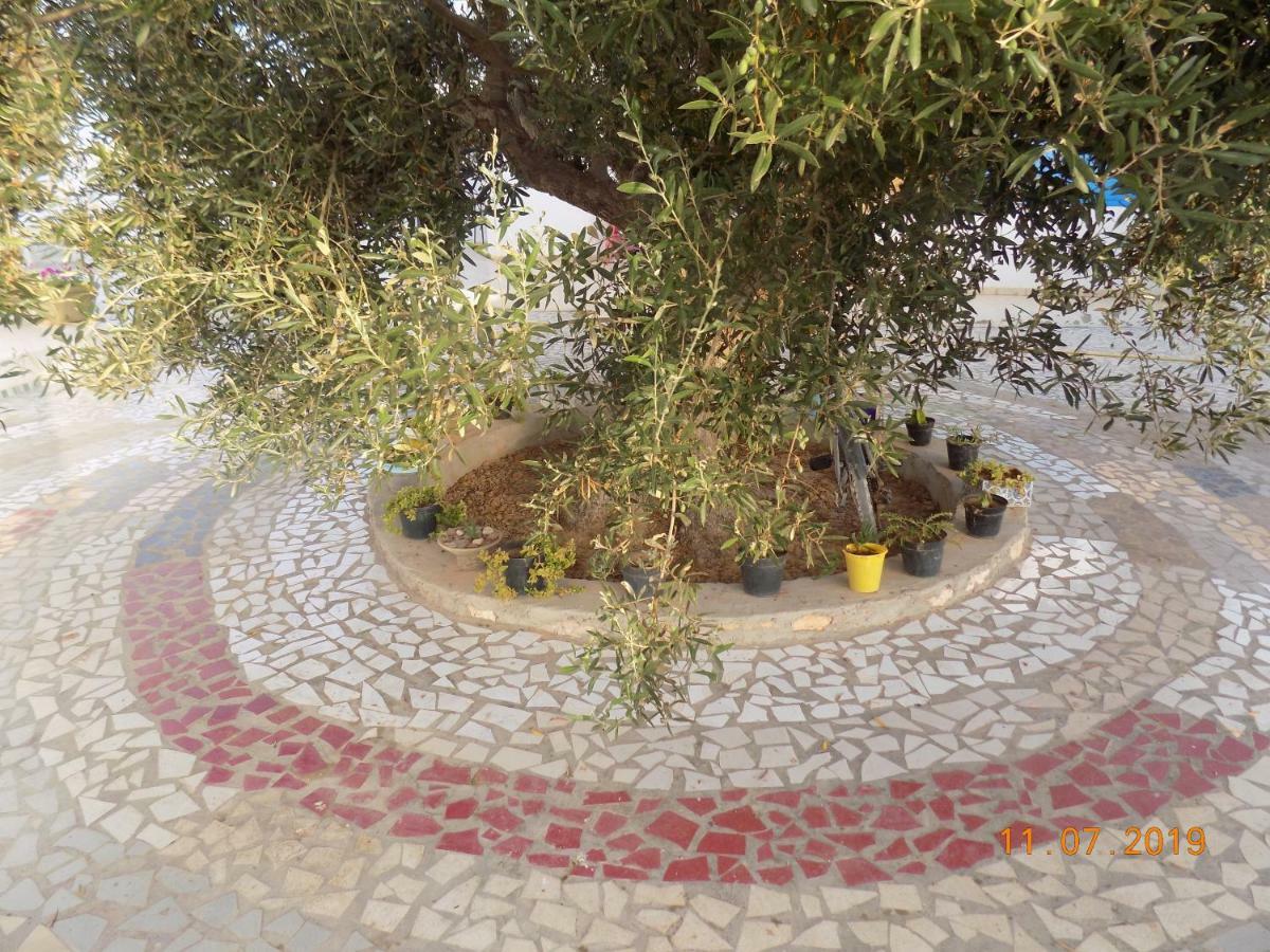 Dar Mamina Bed & Breakfast Sidi ash Shammakh Bagian luar foto