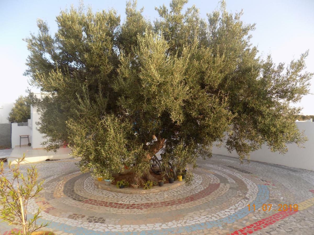 Dar Mamina Bed & Breakfast Sidi ash Shammakh Bagian luar foto
